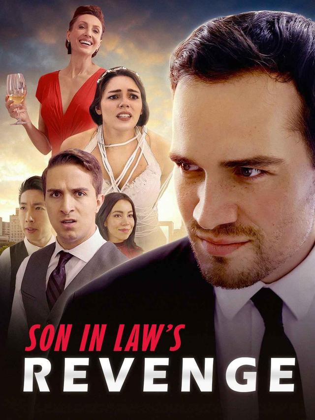 Son in Law's Revenge poster