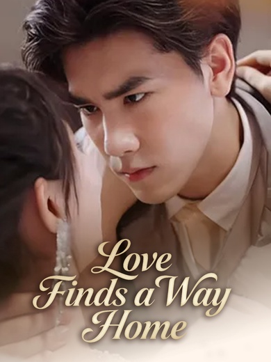 Love Finds a Way Home poster