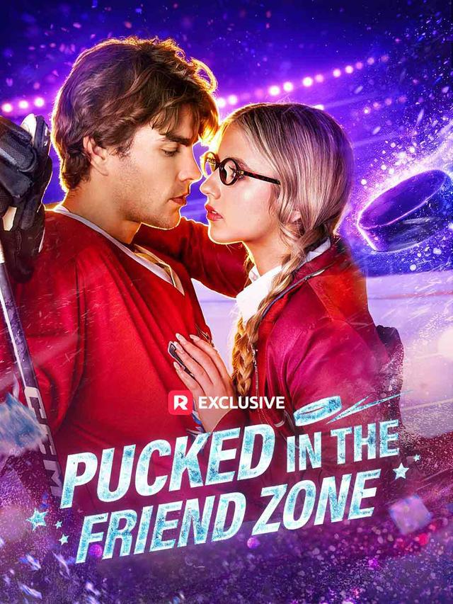 Pucked in the Friend Zone poster