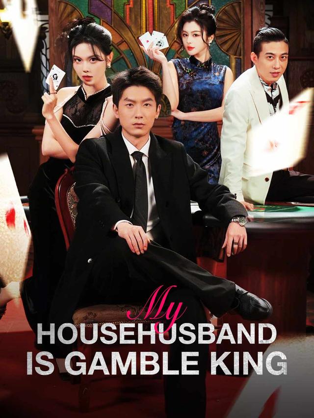 My Househusband Is Gamble King poster