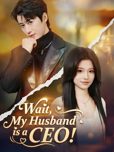 Wait, My Husband is a CEO! poster