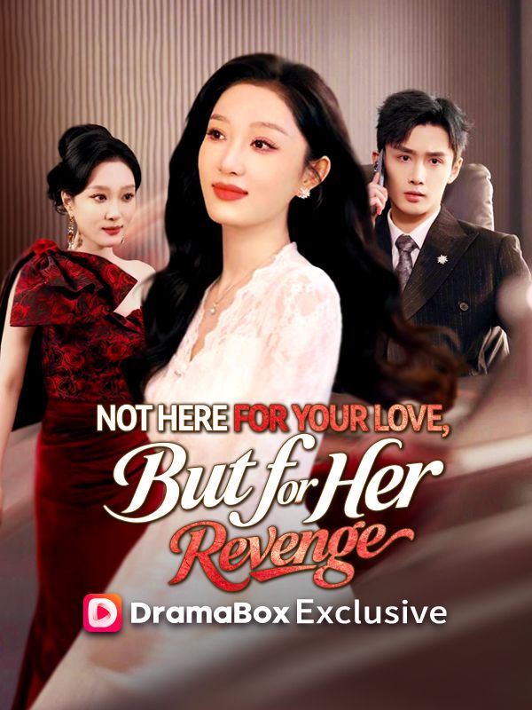 Not Here for Your Love, But for Her Revenge poster