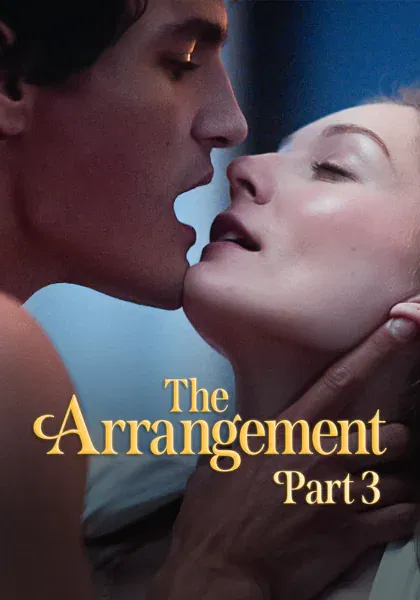 The Arrangement 3 poster