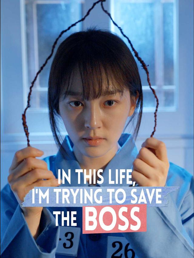 In This Life, I'm Trying To Save The Boss poster