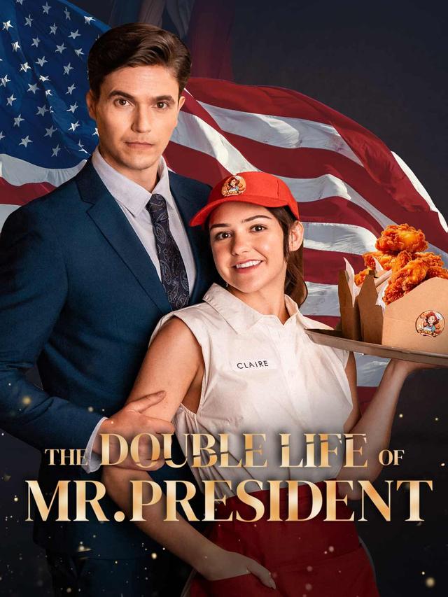 The Double Life of Mr President poster