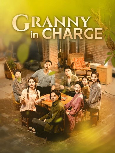 Granny in Charge poster