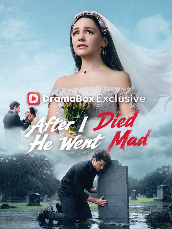 After I Died He Went Mad poster