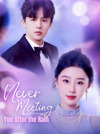 [Dubbed]Never Meeting You After the Rain poster