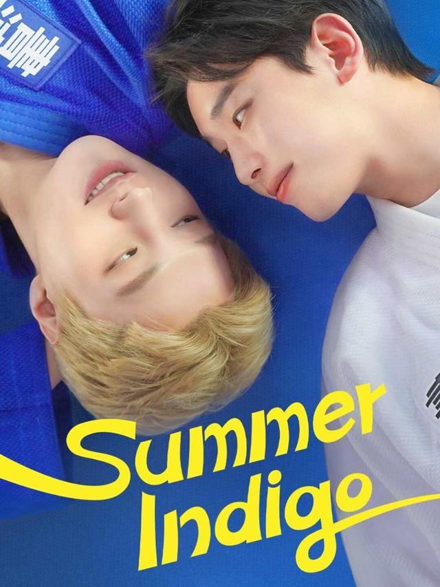 Summer Indigo poster