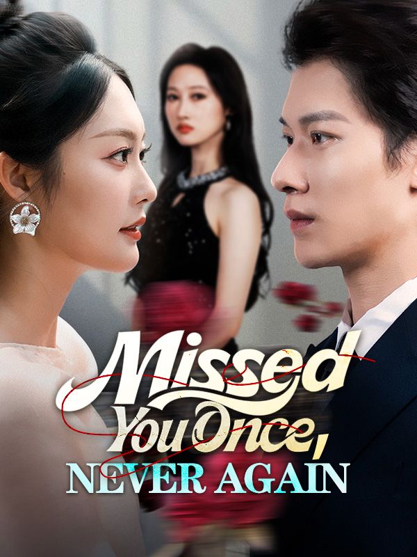 Missed You Once, Never Again poster