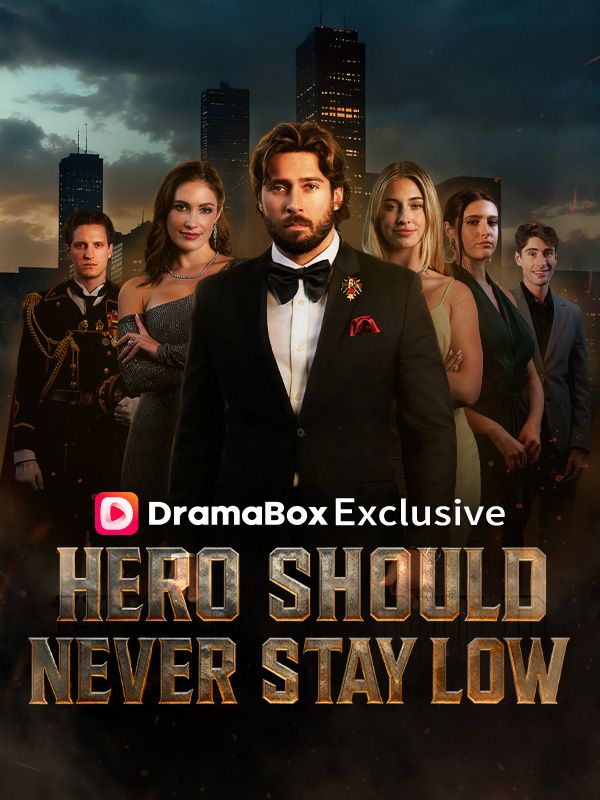 Hero Should Never Stay Low poster