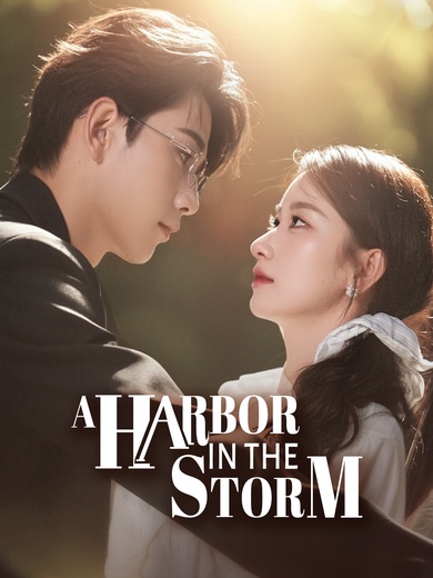 A Harbor in the Storm poster