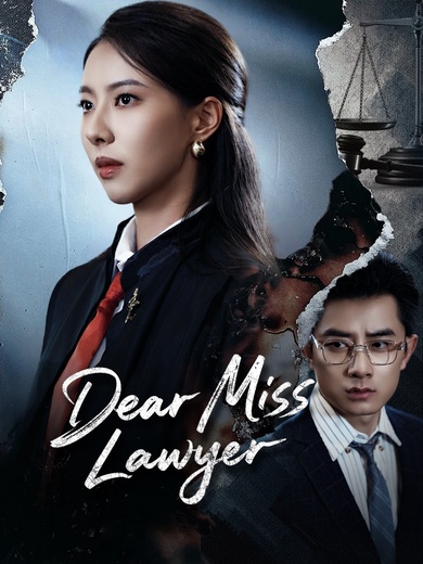 Dear Miss Lawyer poster