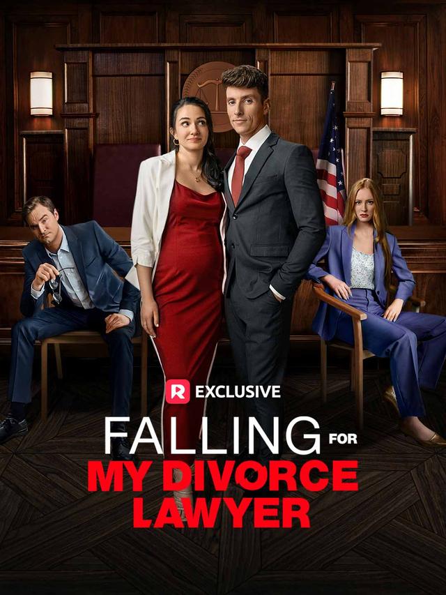 Falling for My Divorce Lawyer poster