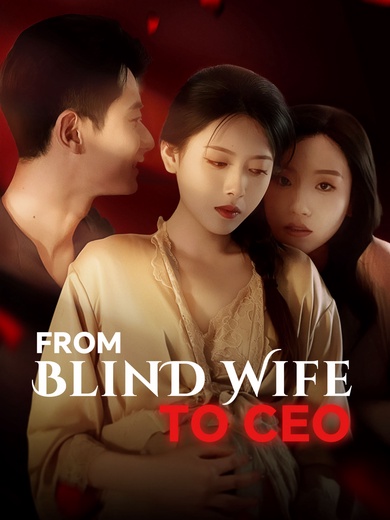 From Blind Wife to CEO poster