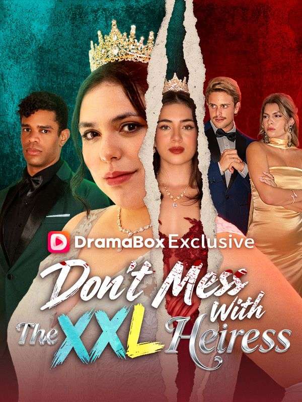 Don't Mess With The XXL Heiress poster