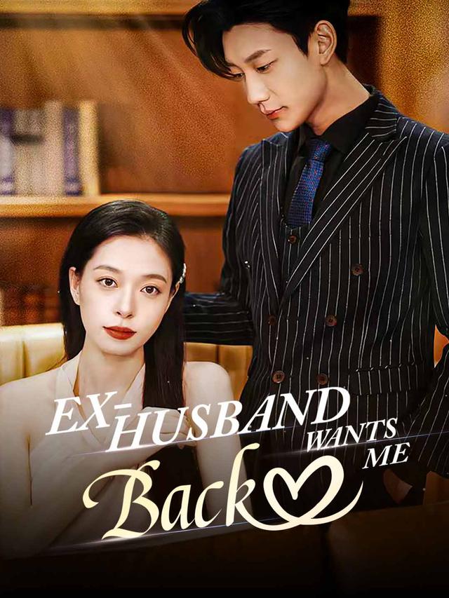 Ex-Husband Wants Me Back poster
