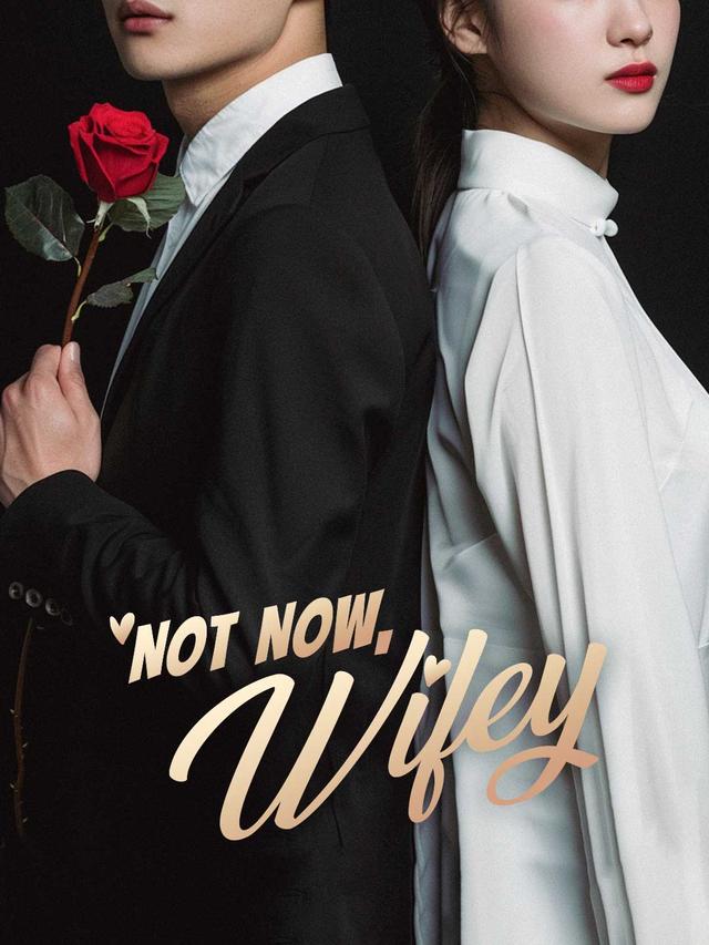 Not Now, Wifey poster