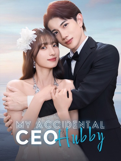 My Accidental CEO Hubby poster
