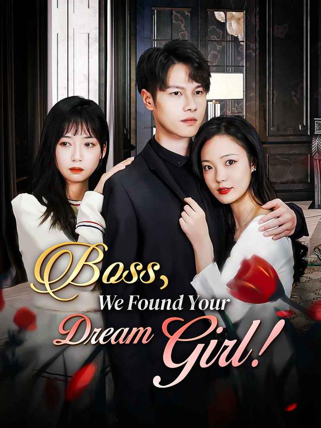 Boss, We Found Your Dream Girl! poster