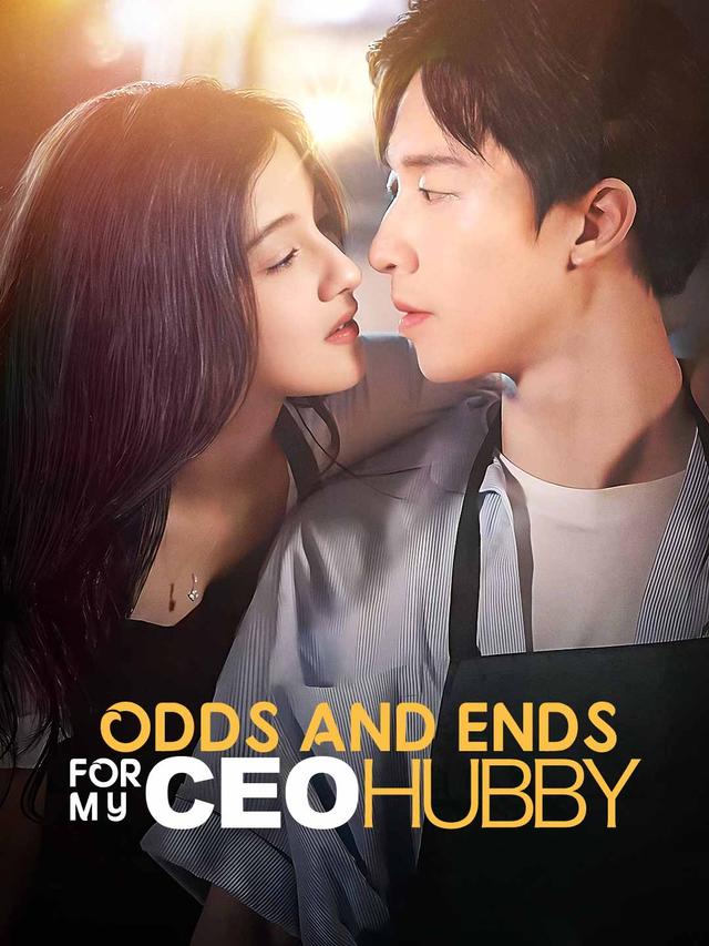 Odds and Ends for My CEO Hubby poster