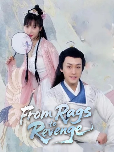 From Rags to Revenge poster