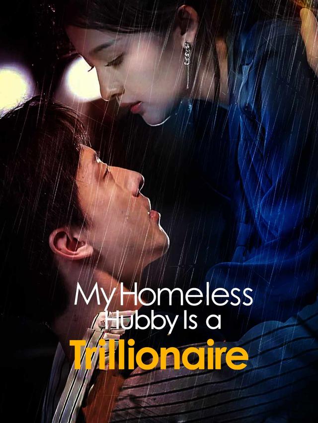 My Homeless Hubby Is a Trillionaire poster