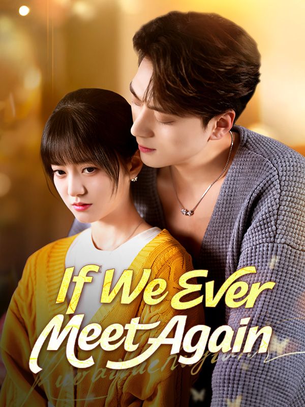 If We Ever Meet Again poster