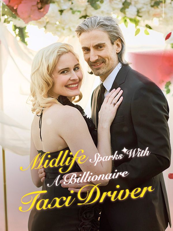 Midlife Sparks with a Billionaire Taxi Driver poster