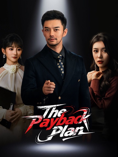 The Payback Plan poster