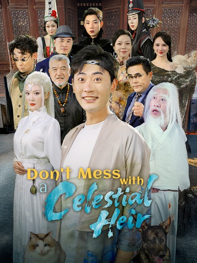 Don't Mess with a Celestial Heir poster