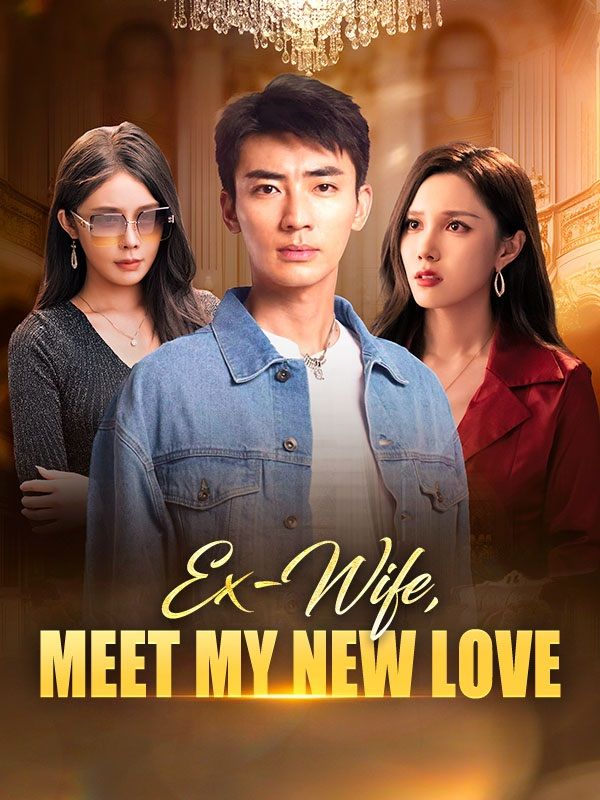 Ex-Wife, Meet My New Love poster
