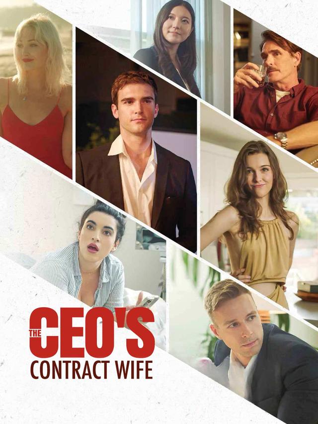 The CEO's Contract Wife poster