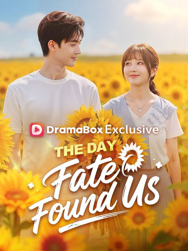 The Day Fate Found Us poster