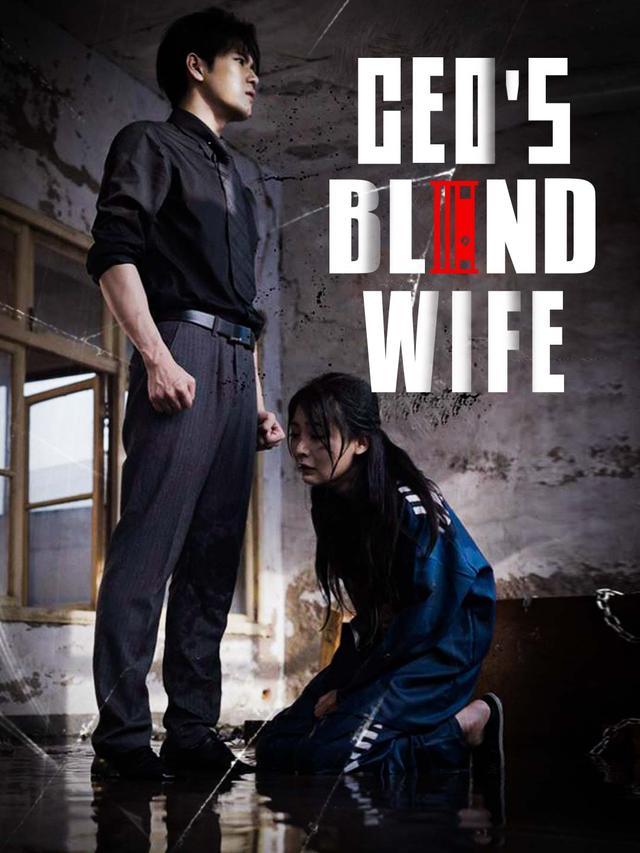 CEO's Blind Wife poster