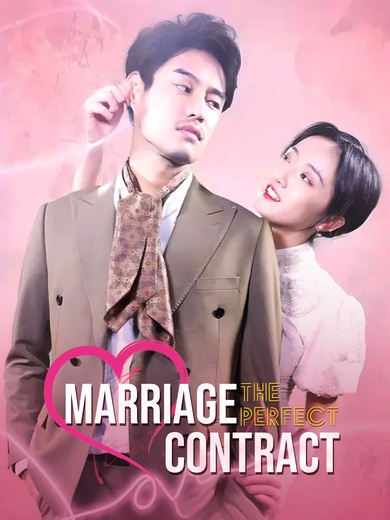 The Perfect Marriage Contract poster