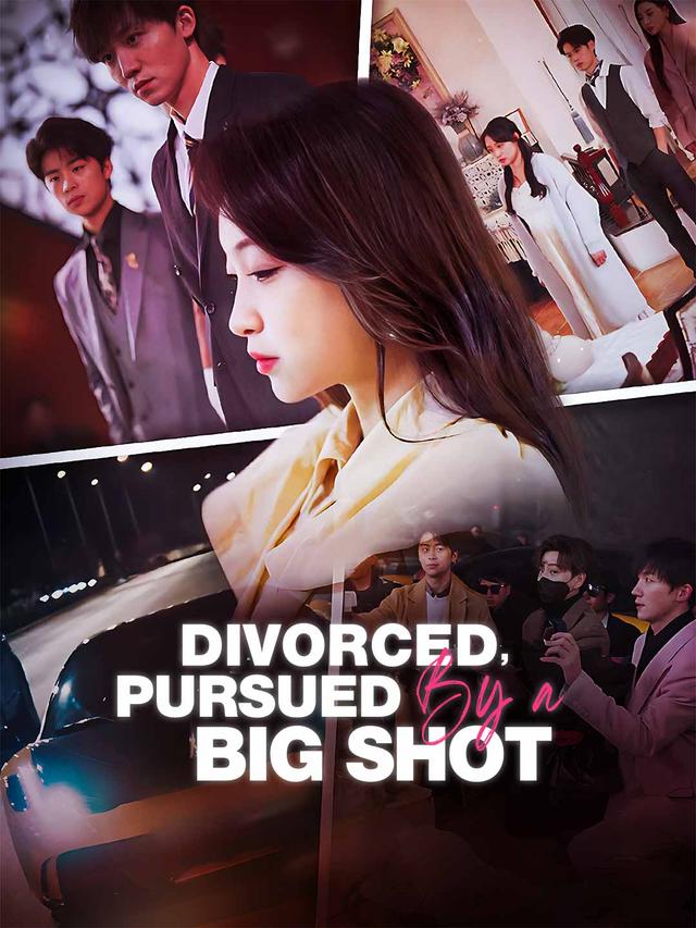 Divorced, Pursued by a Big Shot poster