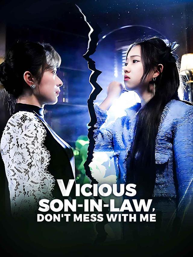Vicious Son-in-Law, Don't Mess with Me poster
