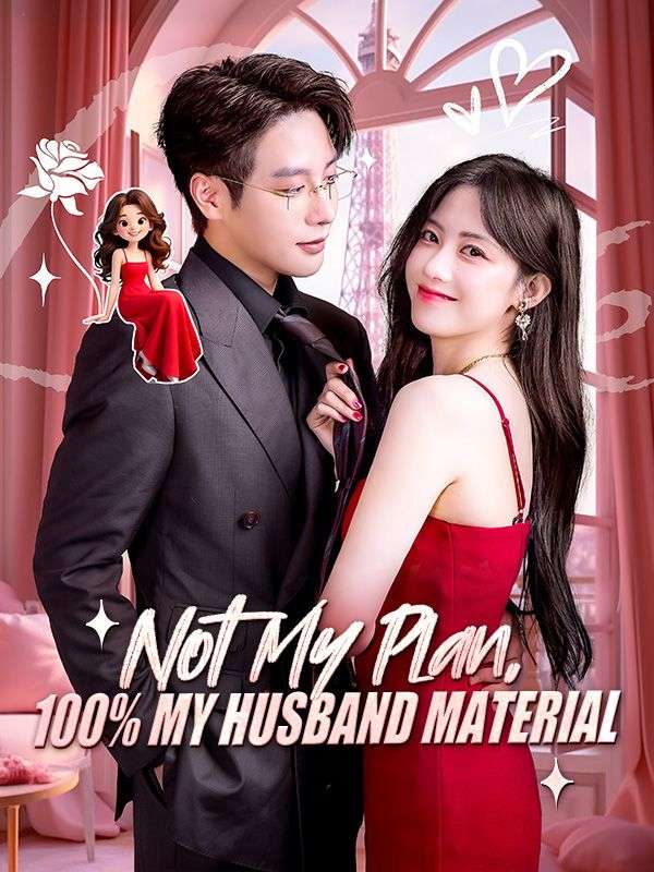 Not My Plan, 100% My Husband Material poster