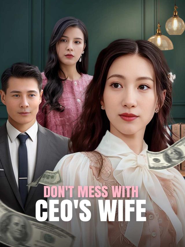 Don't Mess With CEO's Wife poster