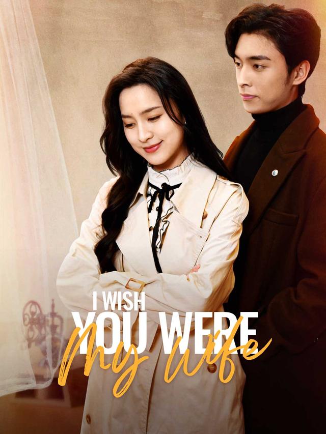 I Wish You Were My Wife poster