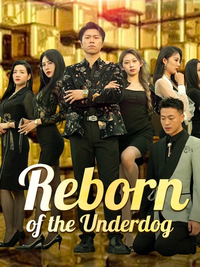 [Dubbed]Reborn of the Underdog poster
