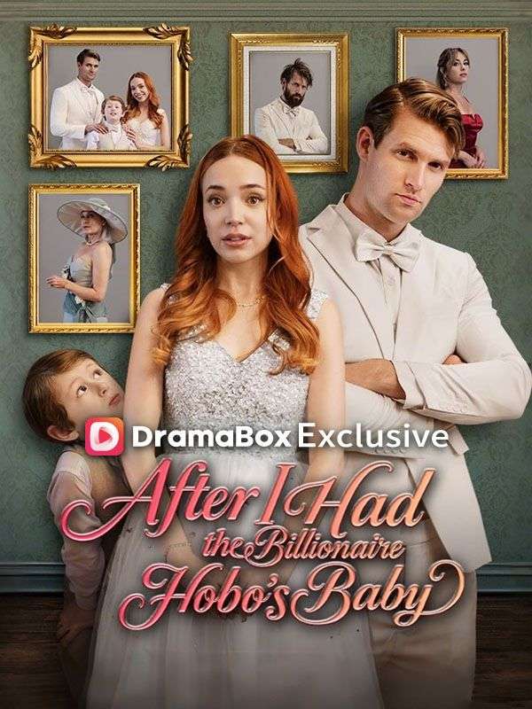 After I Had the Billionaire Hobo's Baby poster