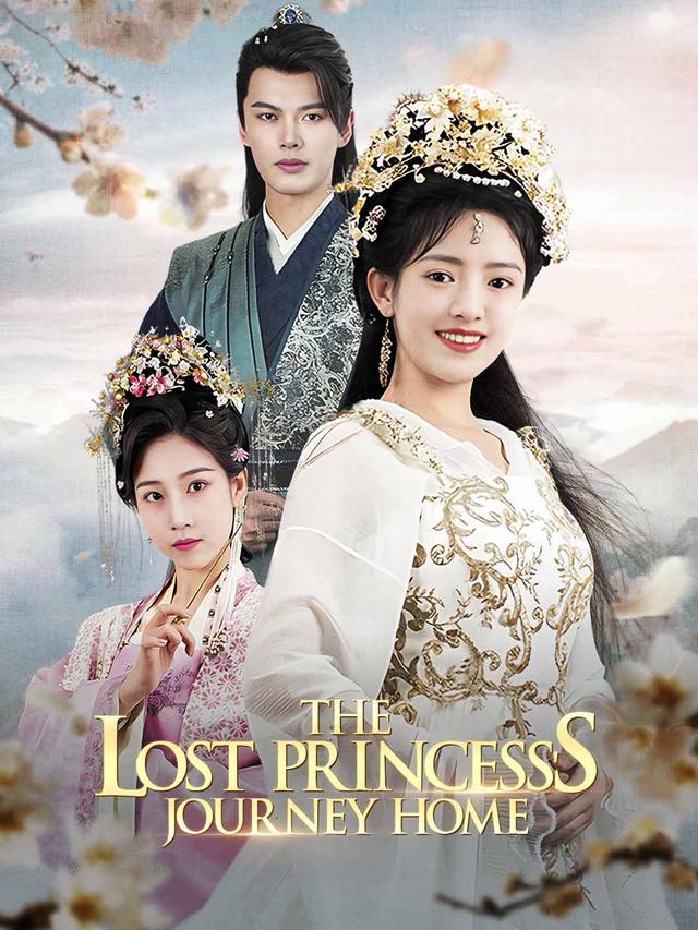 The Lost Princess's Journey Home poster