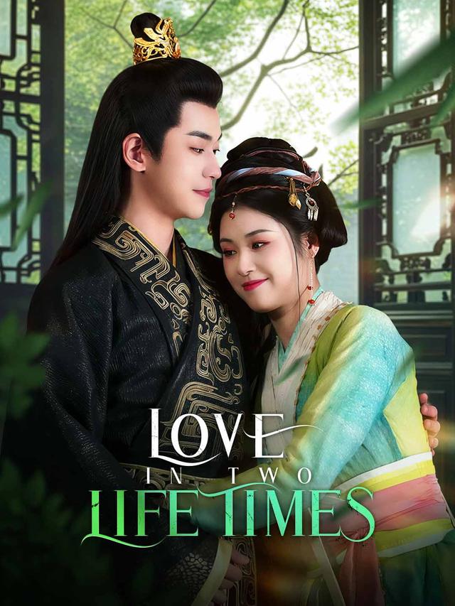 Love in two Lifetimes poster