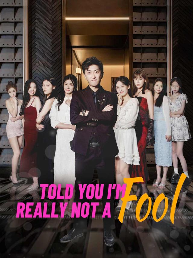 Told You: I’m Really Not a Fool poster