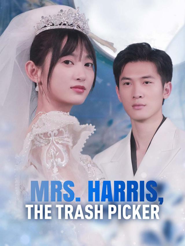 Mrs. Harris, The Trash Picker poster