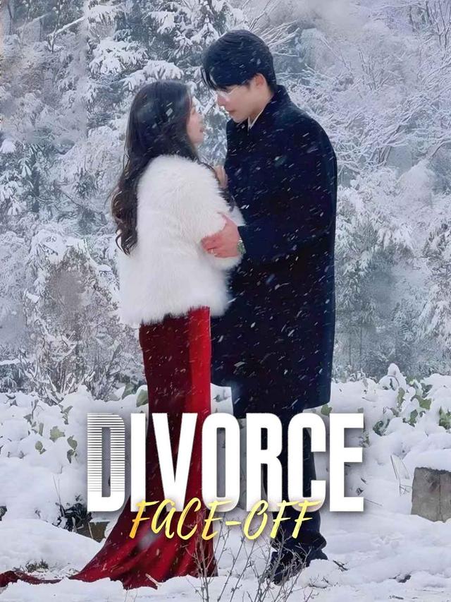 Divorce Face-Off poster