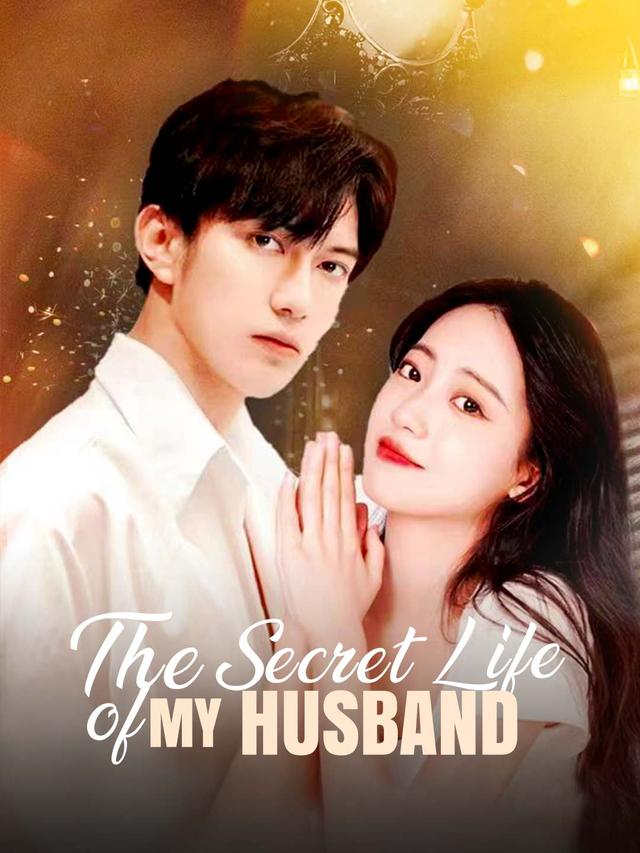 The Secret Life of My Husband poster
