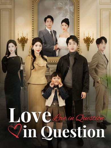 Love in Question poster